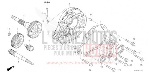 BOITE DE VITESSES SH125ADP de 2023